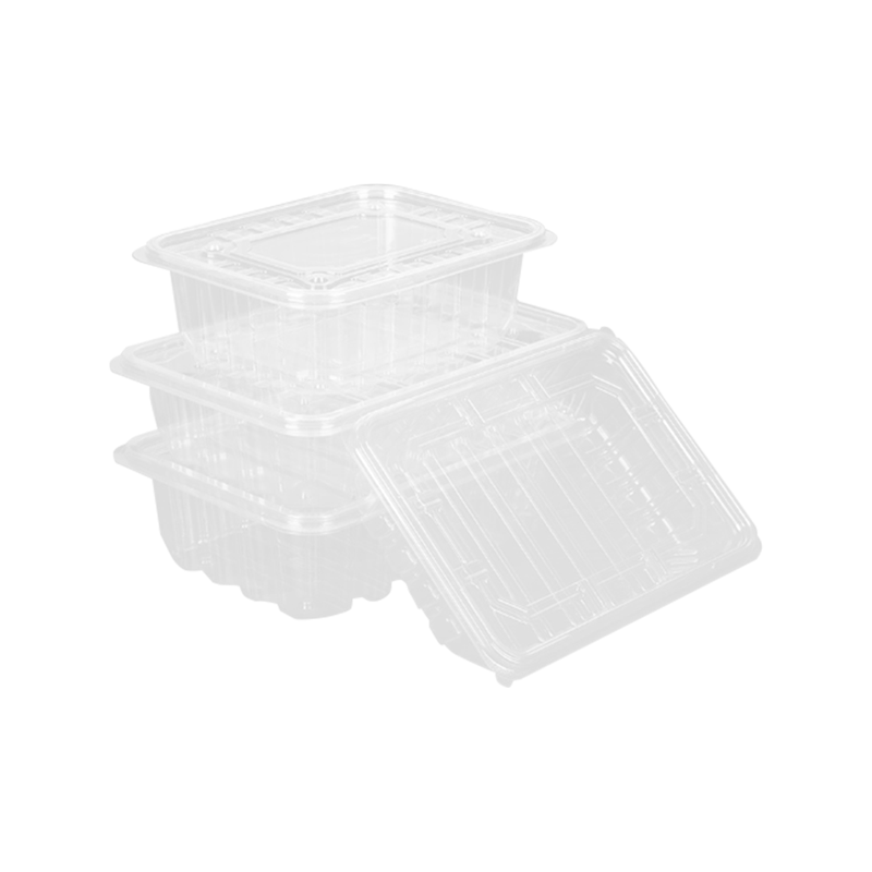 Tek kullanımlık tamamen şeffaf meyve paketleme kutusu