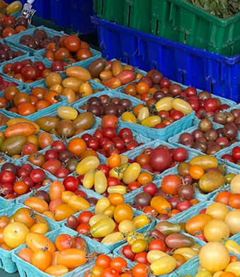 Plastik Yemek Tepsisi